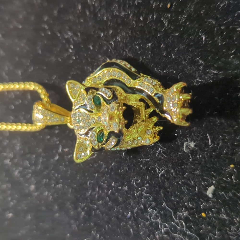 Hip hop tiger and chain
